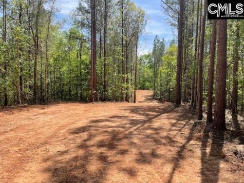 Lot 2 Highway 121 Silverstreet SC 29145