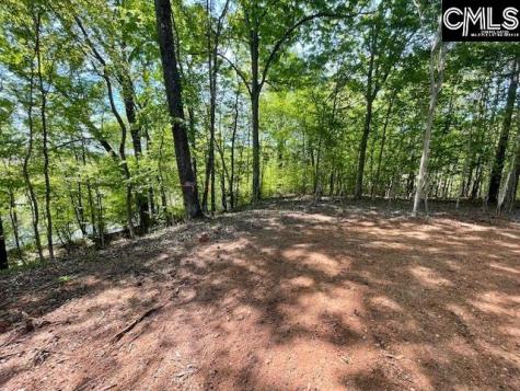 Lot 2 Highway 121 Silverstreet SC 29145