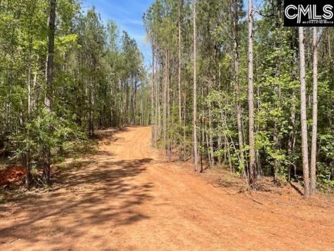 Lot 2 Highway 121 Silverstreet SC 29145