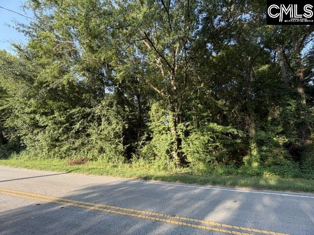 0 Old Jollystreet Road Newberry SC 29108
