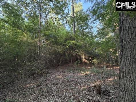 0 Old Jollystreet Road Newberry SC 29108