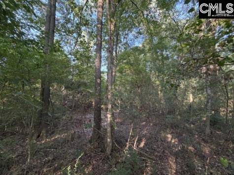 0 Old Jollystreet Road Newberry SC 29108