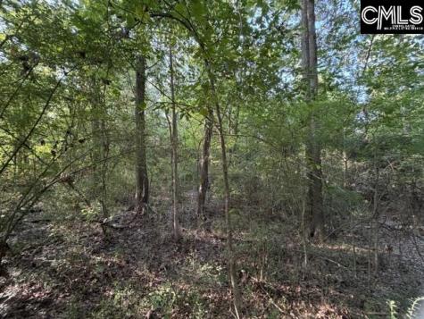 0 Old Jollystreet Road Newberry SC 29108