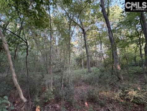 0 Old Jollystreet Road Newberry SC 29108