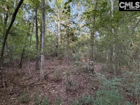0 Old Jollystreet Road Newberry SC 29108