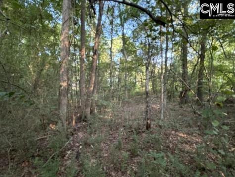 0 Old Jollystreet Road Newberry SC 29108