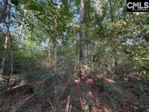 0 Old Jollystreet Road Newberry SC 29108