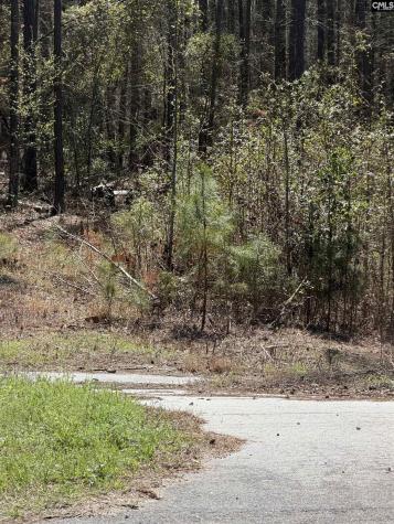 5374 Leesburg Road Eastover SC 29044