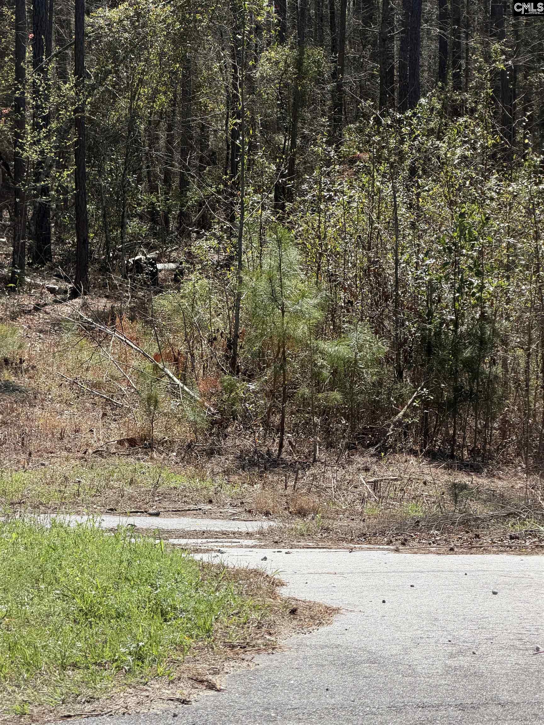 5374 Leesburg Road Eastover SC 29044