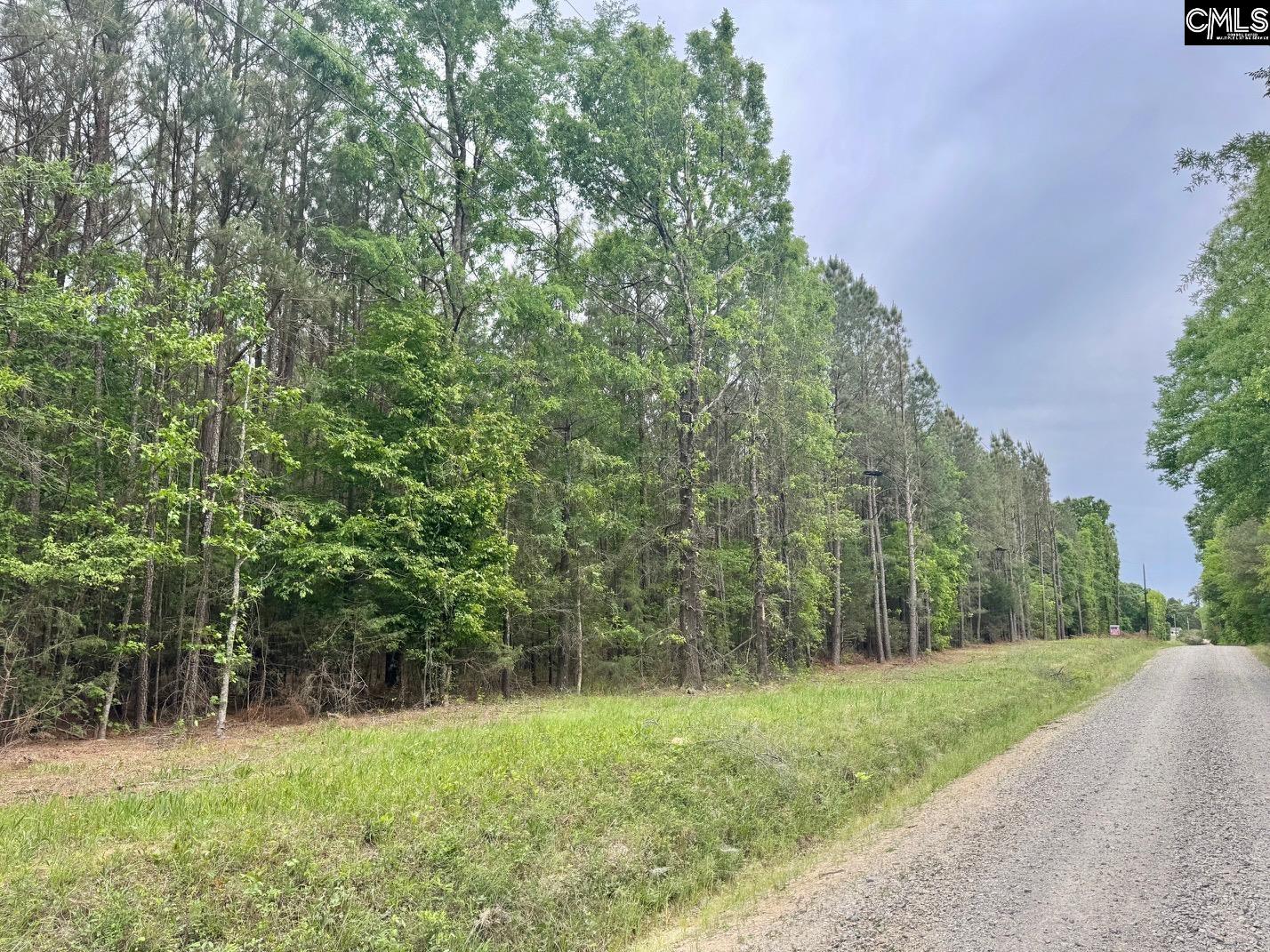 0 Sumpter Road Johnston SC 29832-0000