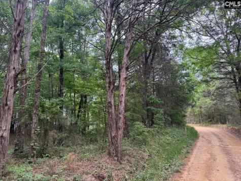 0 Sumpter Road Johnston SC 29832-0000