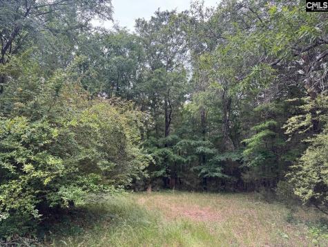 0 Sumpter Road Johnston SC 29832-0000