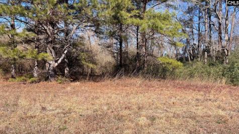 Tbd Veterans Road Salley SC 29137