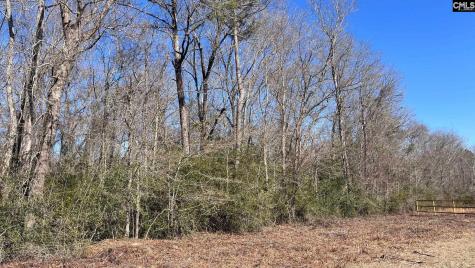 Tbd Veterans Road Salley SC 29137