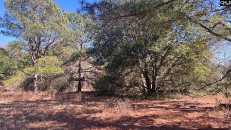 Tbd Veterans Road Salley SC 29137