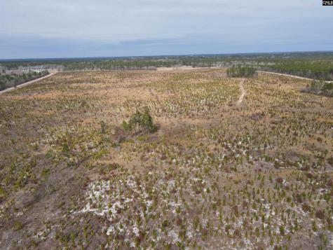 Tract 14 Holland Lane Camden SC 29020