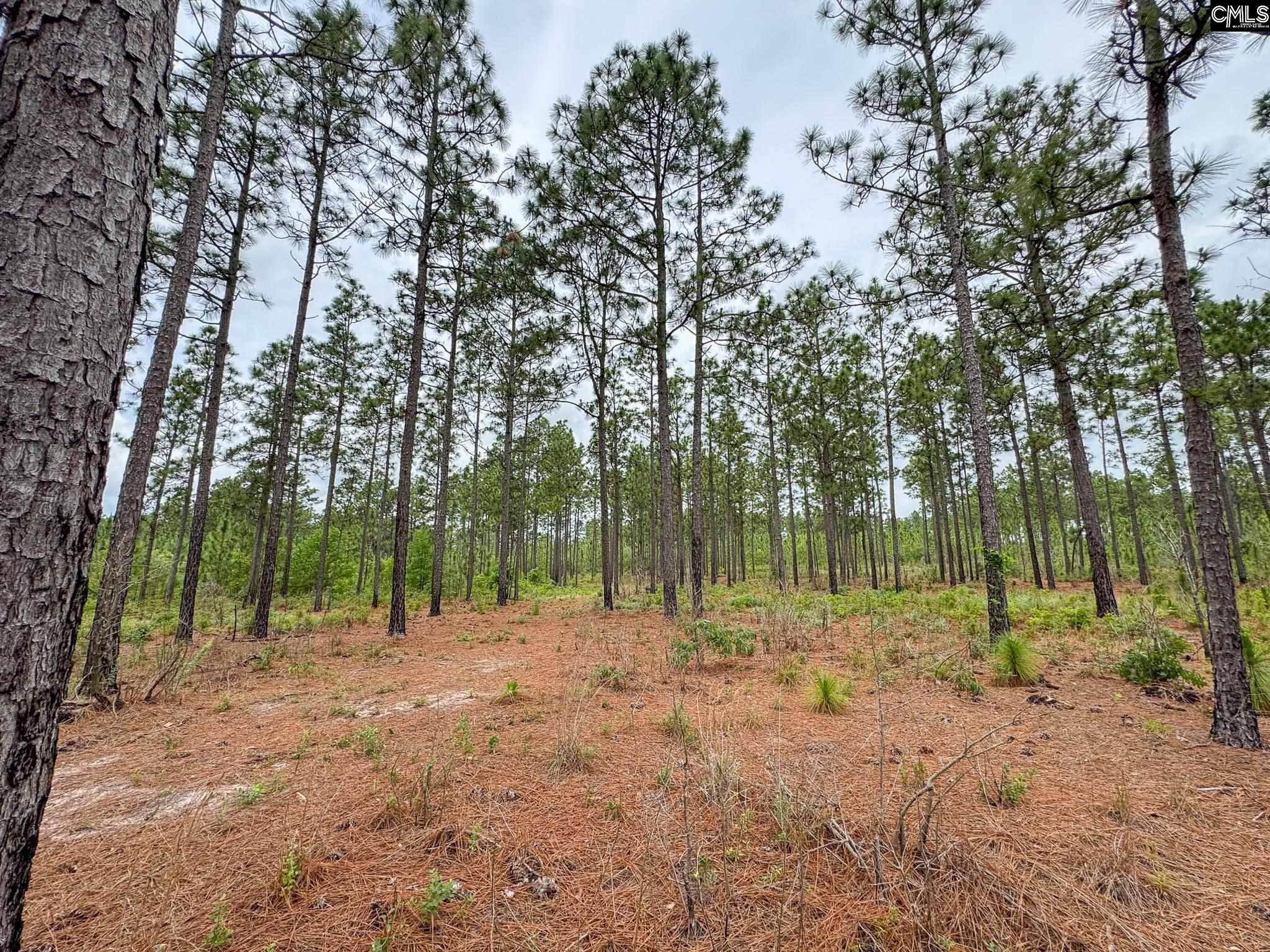 0 Neely Wingard Road Lot 10 Gilbert SC 29054