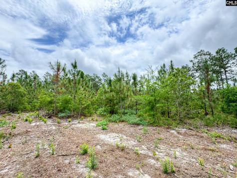 0 Neely Wingard Road Lot 10 Gilbert SC 29054