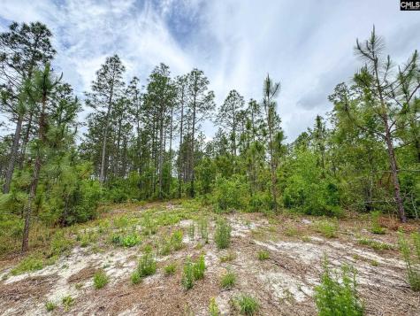 0 Neely Wingard Road Lot 10 Gilbert SC 29054