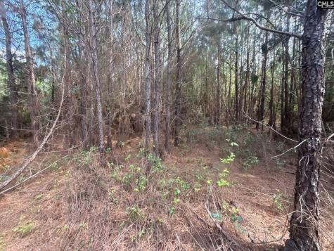 Mpf 4 Mt. Pisgah Road Jefferson SC 29718