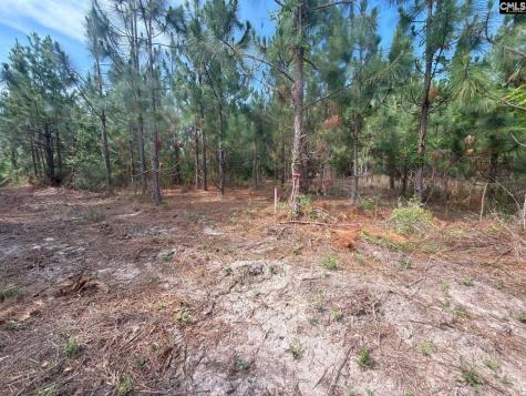 Mpf 4 Mt. Pisgah Road Jefferson SC 29718
