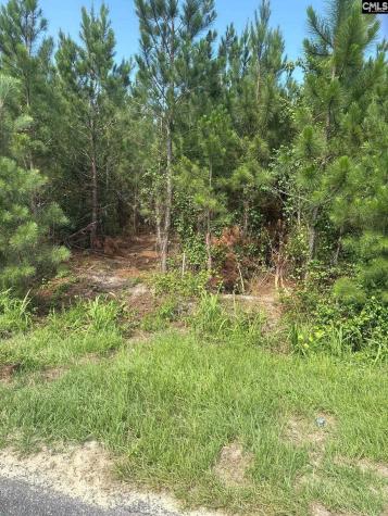 Mpf 4 Mt. Pisgah Road Jefferson SC 29718