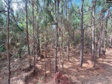 Mpf 4 Mt. Pisgah Road Jefferson SC 29718