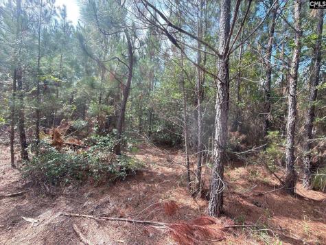 Mpf 4 Mt. Pisgah Road Jefferson SC 29718