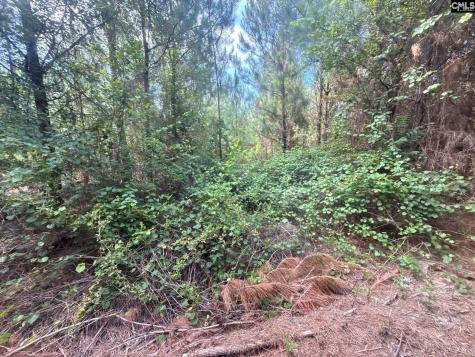 Mpf 4 Mt. Pisgah Road Jefferson SC 29718