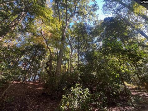 0 Roper Mountain Court Lexington SC 29073