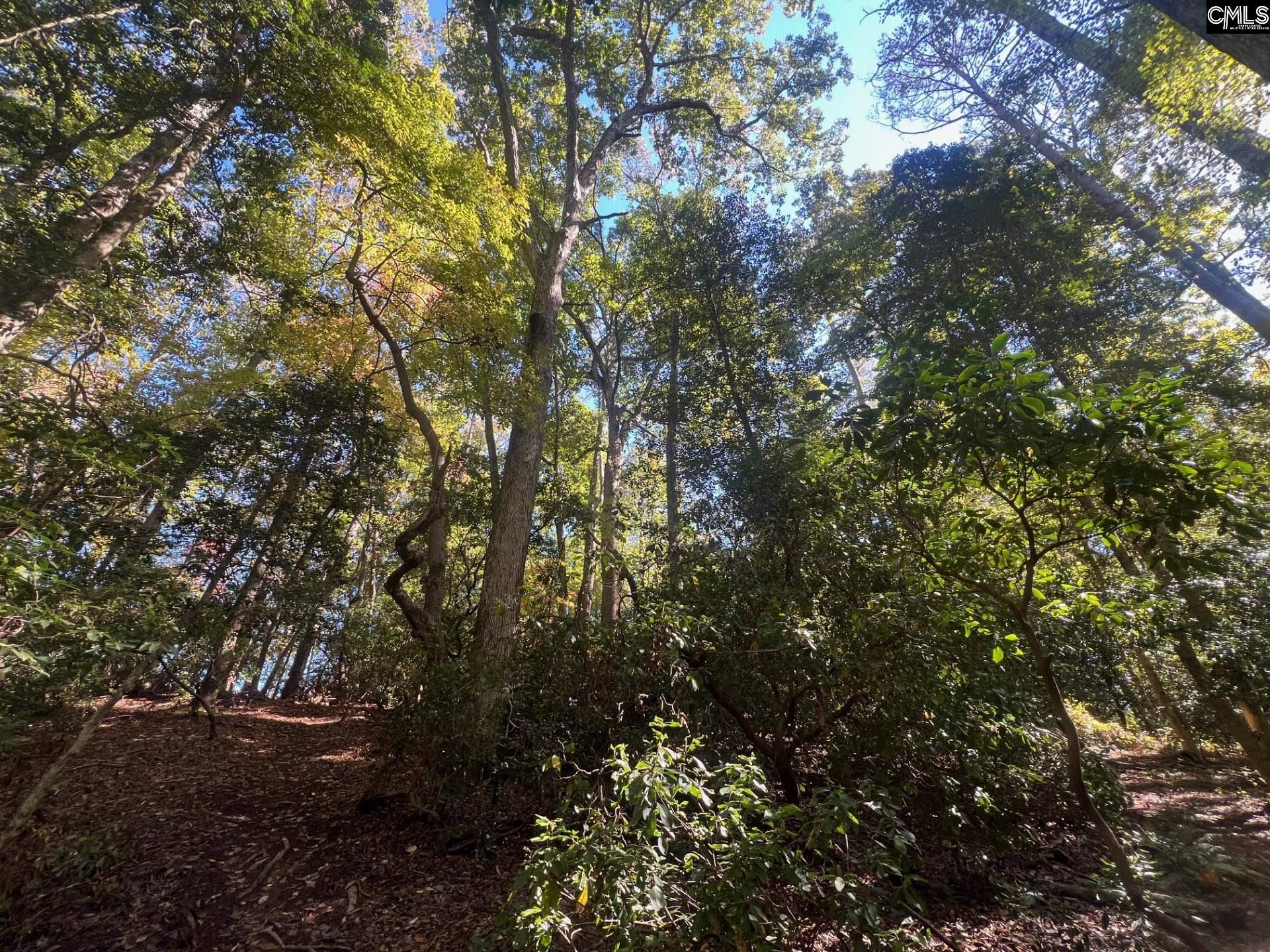 0 Roper Mountain Court Lexington SC 29073