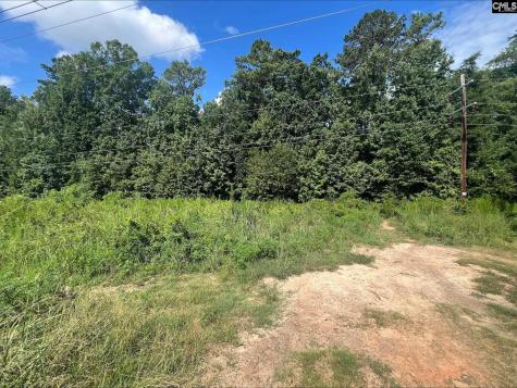 0 Roper Mountain Court Lexington SC 29073
