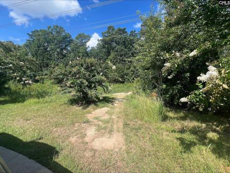 0 Roper Mountain Court Lexington SC 29073