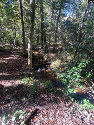 0 Roper Mountain Court Lexington SC 29073