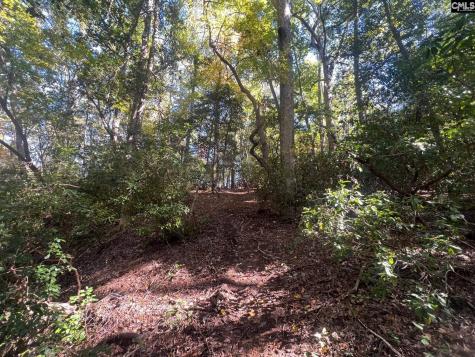 0 Roper Mountain Court Lexington SC 29073