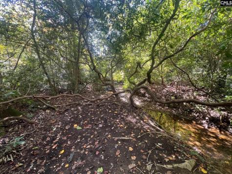 0 Roper Mountain Court Lexington SC 29073