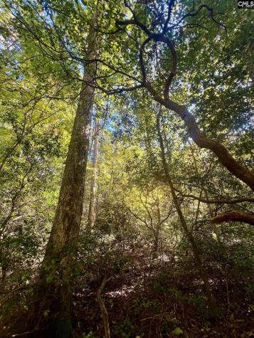 0 Roper Mountain Court Lexington SC 29073