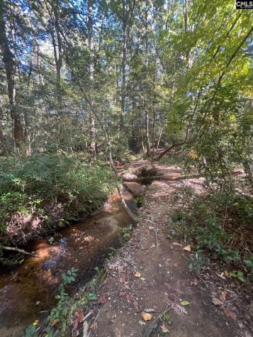 0 Roper Mountain Court Lexington SC 29073