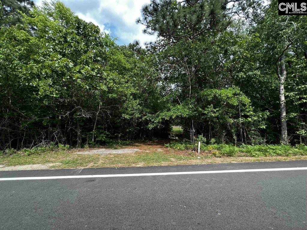 410 Boy Scout Road Gaston SC 29053-0000