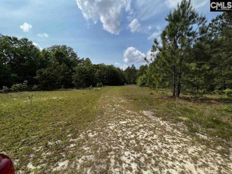 410 Boy Scout Road Gaston SC 29053-0000