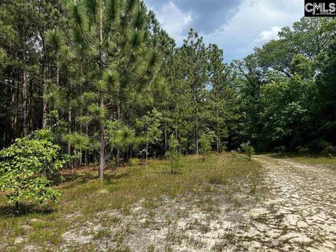 410 Boy Scout Road Gaston SC 29053-0000