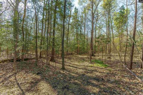 Parcel A Grover Wilson Road Blythewood SC 29016