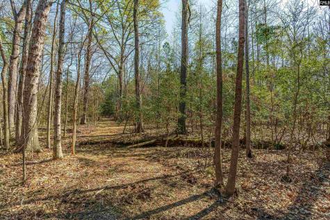Parcel A Grover Wilson Road Blythewood SC 29016
