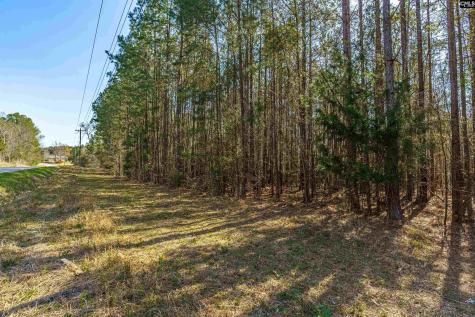 Parcel A Grover Wilson Road Blythewood SC 29016
