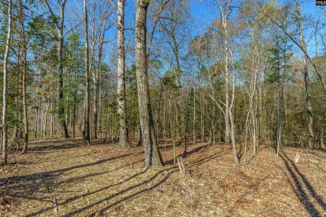 Parcel A Grover Wilson Road Blythewood SC 29016