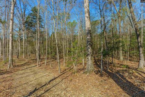 Parcel A Grover Wilson Road Blythewood SC 29016