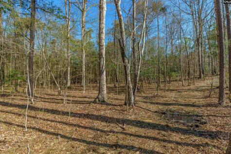 Parcel A Grover Wilson Road Blythewood SC 29016