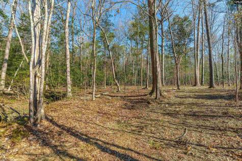 Parcel A Grover Wilson Road Blythewood SC 29016