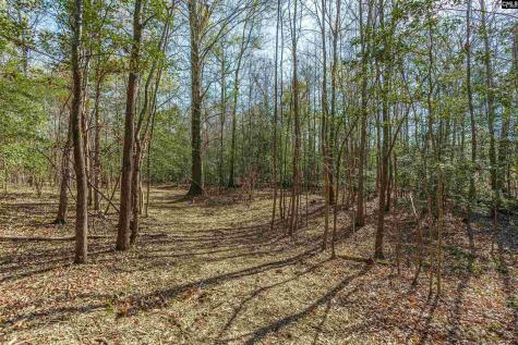 Parcel A Grover Wilson Road Blythewood SC 29016