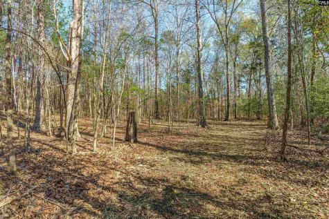 Parcel A Grover Wilson Road Blythewood SC 29016